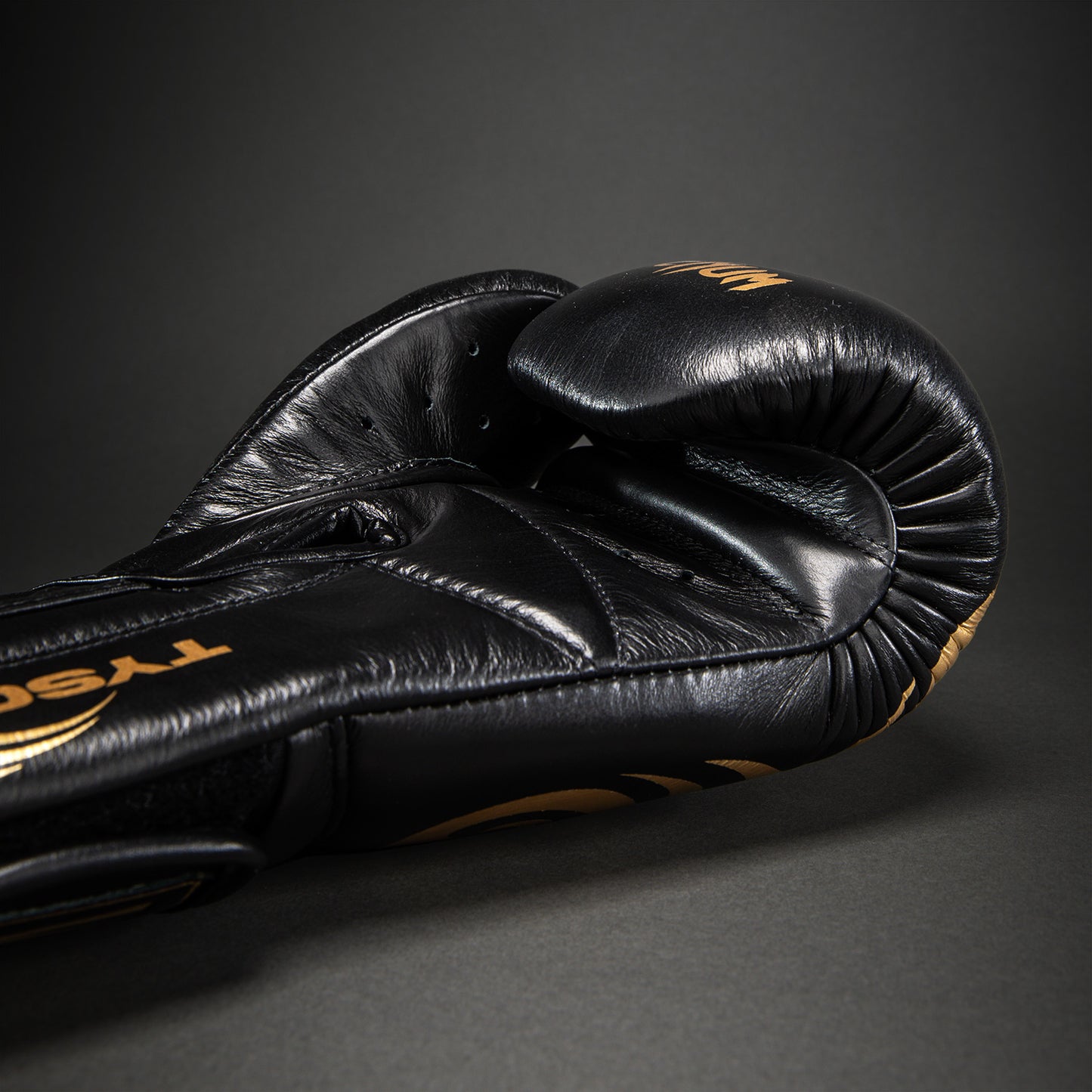 Venum Giant 2.0 Mike Tyson Pro 복싱 글러브 – 블랙/골드