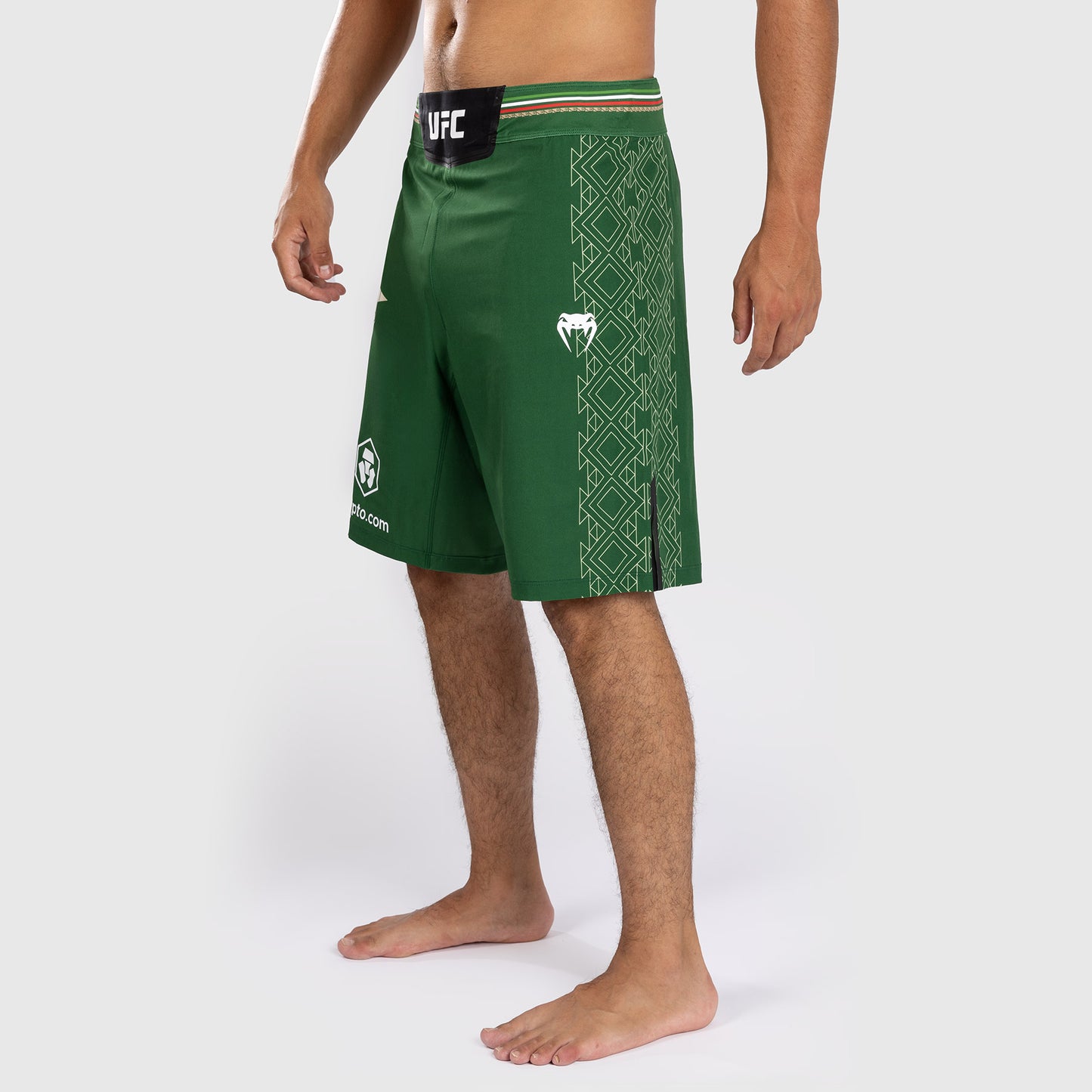Noche UFC By Venum Authentic Fight Night 남성용 파이트 쇼츠 – 롱 핏 – 그린