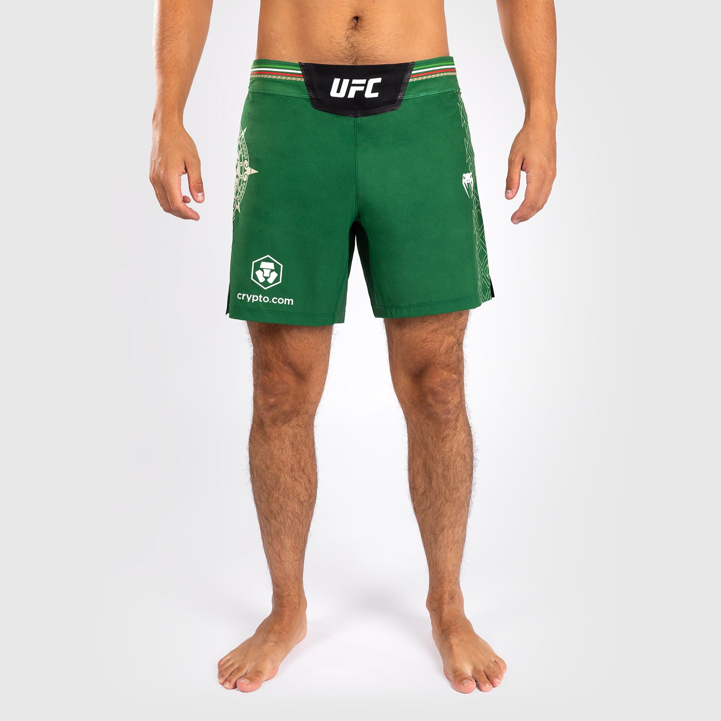 Noche UFC by Venum Authentic Fight Night 남성용 파이트 쇼츠 – 숏 핏 – 그린