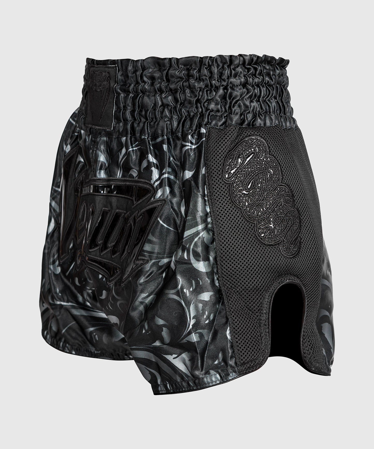 Muay Thai Shorts Absolute 2.0 Venum - Black/Black