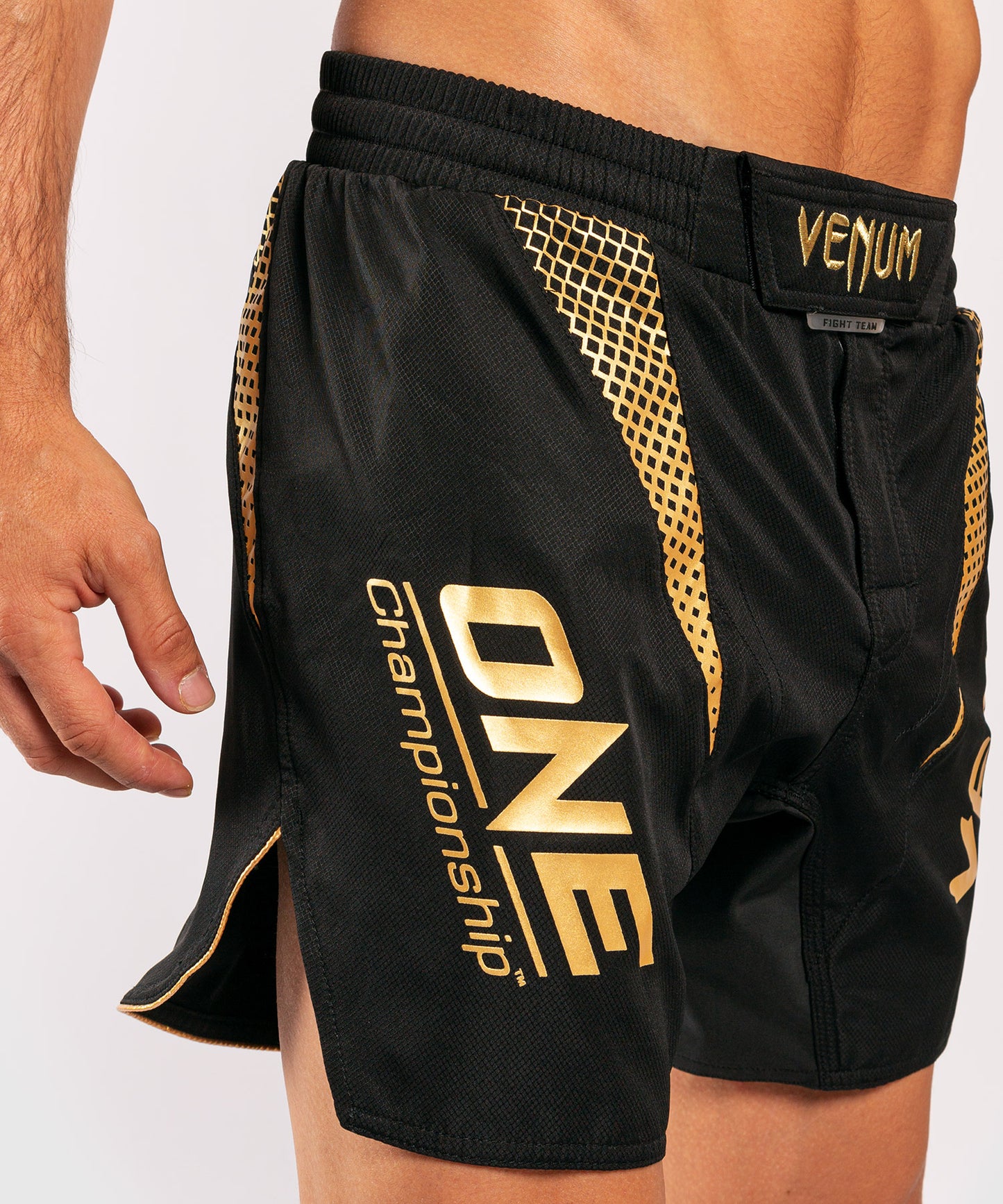Venum x ONE FC 파이트 쇼츠